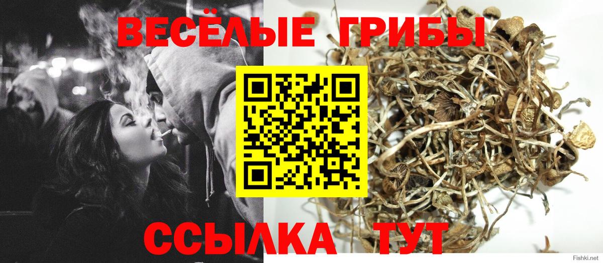 Псилоцибиновые грибы MAGIC MUSHROOMS  Вход с VPN  Галлюциногенные грибы Magic Shrooms  Тельмана 