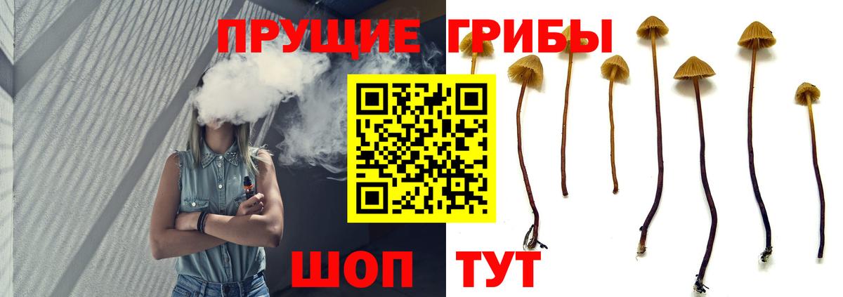 Галлюциногенные грибы мицелий Тельмана